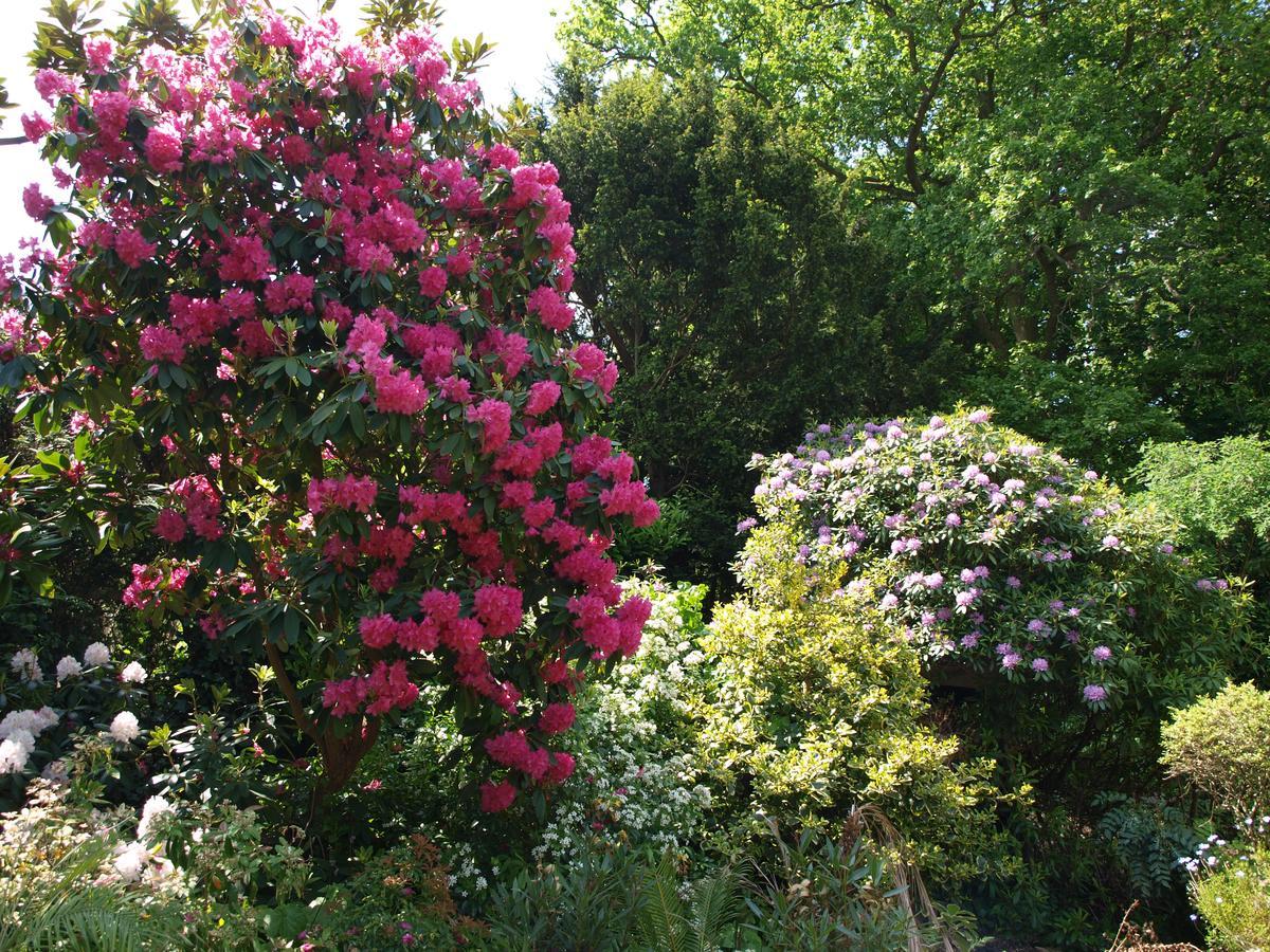 Heatherbank B&B Sandhurst  Buitenkant foto